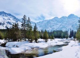 Один скипасс