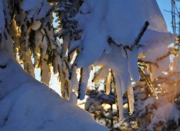 Живописное расположение