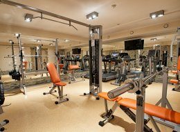 Profesionálna posilňovňa