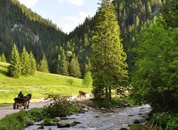 O każdej porze roku