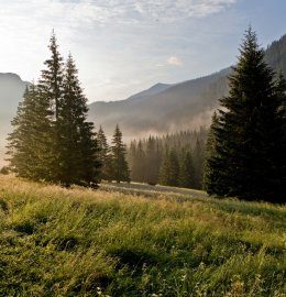 Живописное расположение