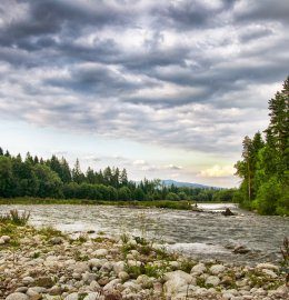 Очаровательные окрестности