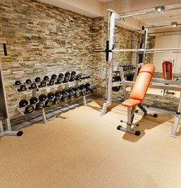 Profesionálna posilňovňa
