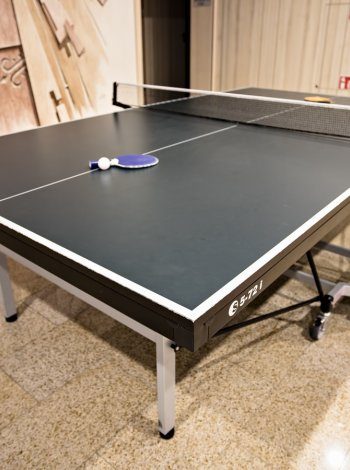 Table tennis