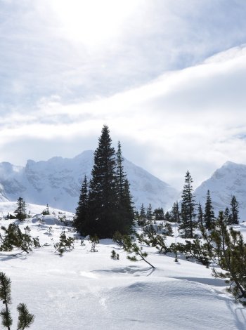 Отличные условия