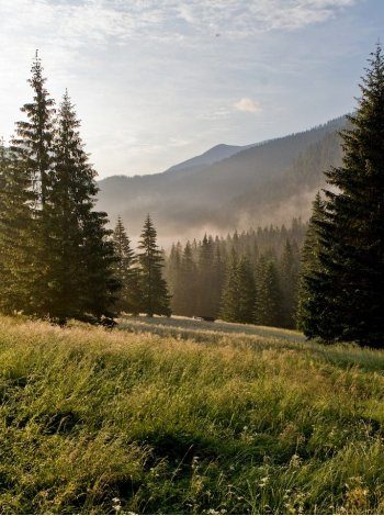 Очаровательные окрестности