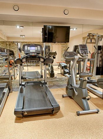 Profesionálna posilňovňa