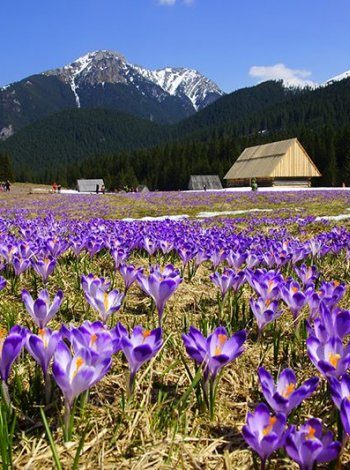 O każdej porze roku