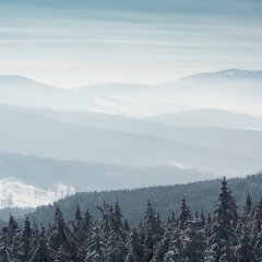 Trasa 18 SZLAK TURYSTYCZNY – PIESZY PT.  „PO PIĘKNYCH ZAKĄTKACH STRONIA ŚLĄSKIEGO WYCIECZKA NA GÓRĘ CZERNICĘ W GÓRACH BIALSKICH” Trasa 18 SZLAK TURYSTYCZNY – PIESZY PT.  „PO PIĘKNYCH ZAKĄTKACH STRONIA ŚLĄSKIEGO WYCIECZKA NA GÓRĘ CZERNICĘ W GÓRACH BIALSKICH”