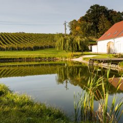 Winnica HOPLE w Paczkowie Winnica HOPLE w Paczkowie