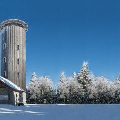 Wieża na G. Borówkowej Wieża na G. Borówkowej