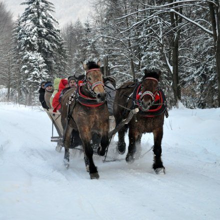 Sleigh Rides