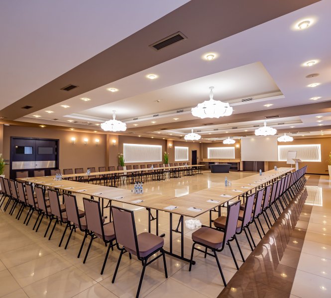 Business & Conferences