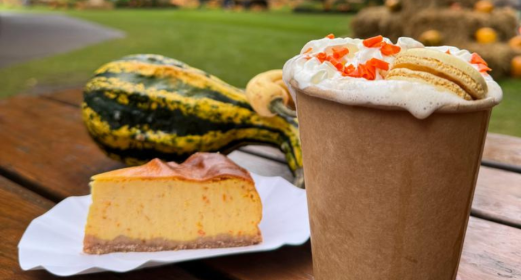 <span>Strefa</span> gastro