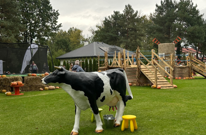 Piknik w Mercure Wiązowna Brant