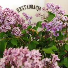 Otwarcie restauracji