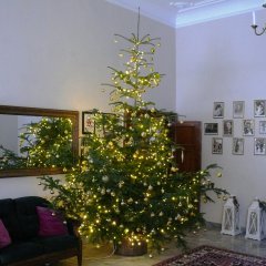 Święta w Dworze Zbożenna odwołane