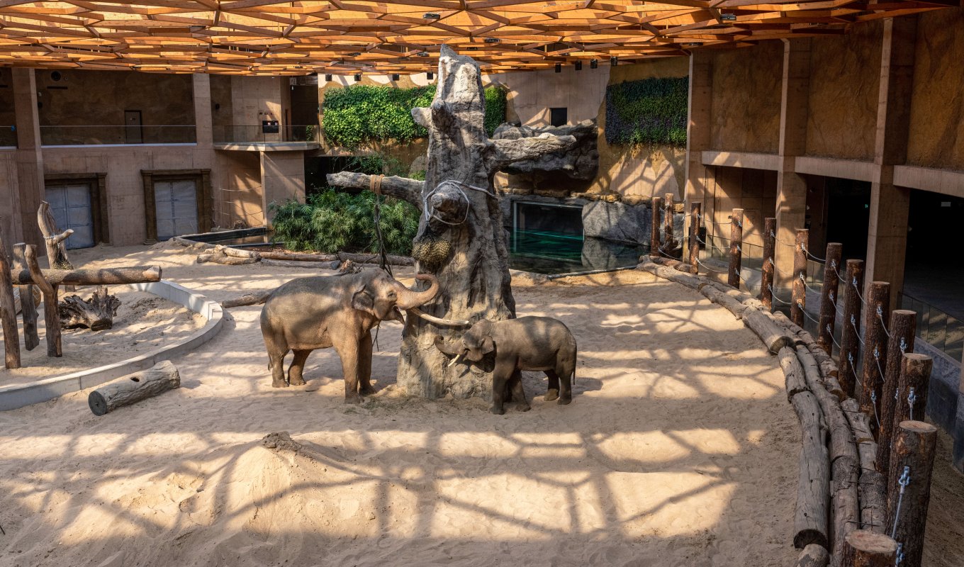 Orientarium ZOO Łódź