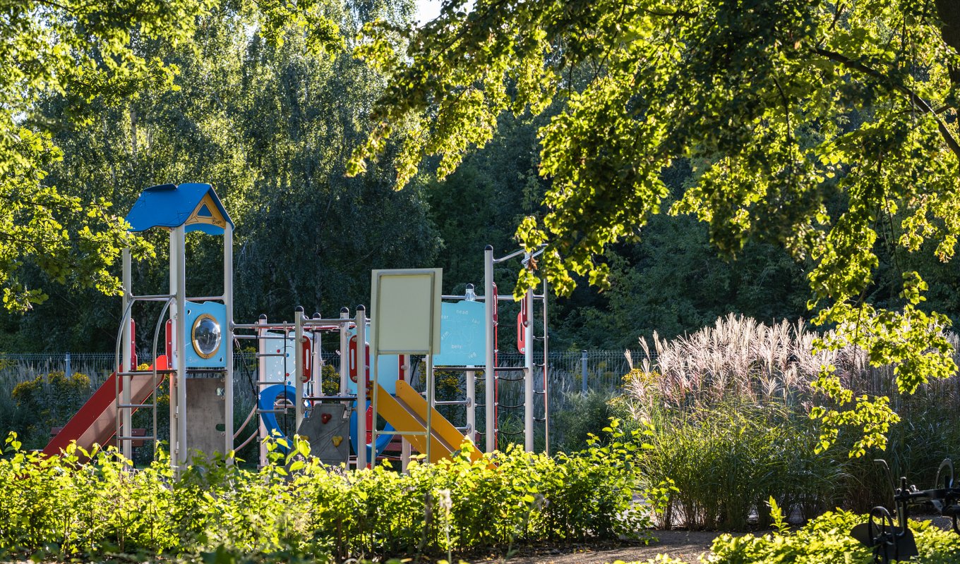 Dwa place zabaw w oazie pięknej roślinności