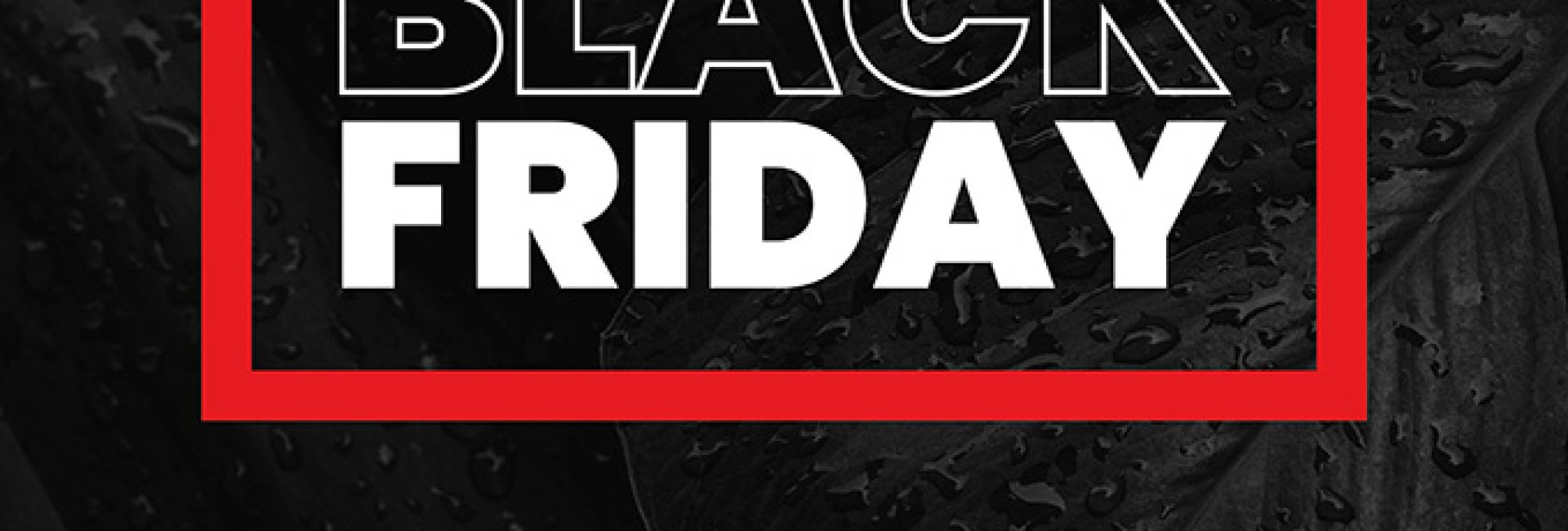 Black Friday w Tkalnia SPA