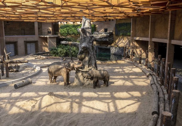 Orientarium ZOO Łódź