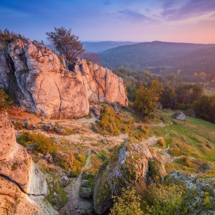 Rezerwat przyrody Góra Zborów