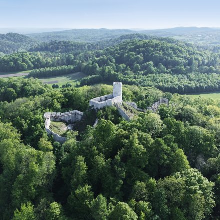 Zamek Pilcza w Smoleniu