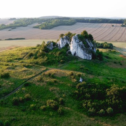 Bz&oacute;w Skała Rzędowa