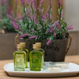 Apartment - Mariacka street 6