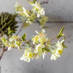 APARTMENT - ŚRODOWA STREET 6