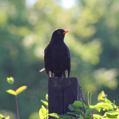 Why is it worth to go to Wisła? [2/25]