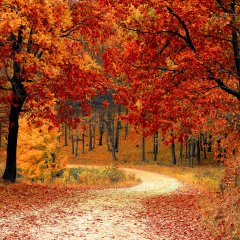 What to see in Wisła in November?