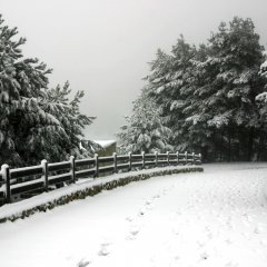 Get out for a short, December trip to the mountains - see what you can do in Wisła in December!