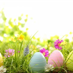 Where to go for Easter?