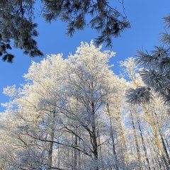 Zima wśród natury - ZAPRASZAMY !