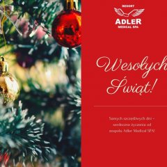 Wesołych Świąt Bożegonarodzenia