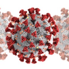 Koronawirus