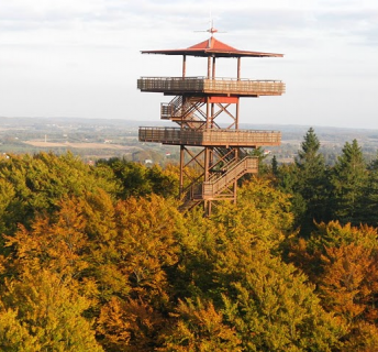 W pobliżu-Wieżyca punkt widokowy