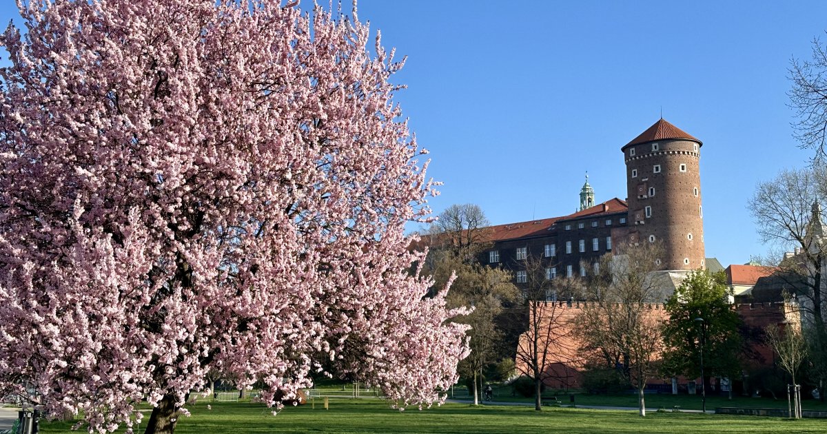 Amber Boutique Hotels