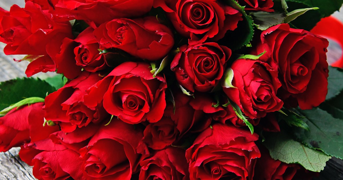 Amber Boutique Hotels