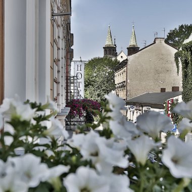 Hotel Amber Design****