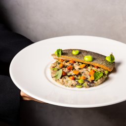 Drukarnia Smaku Cristina