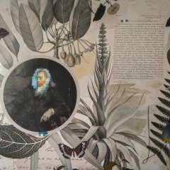 Nasza odpowiedź na ACTA2