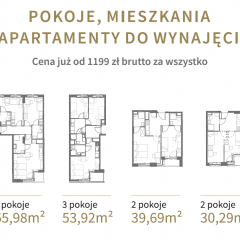 Najem długoterminowy