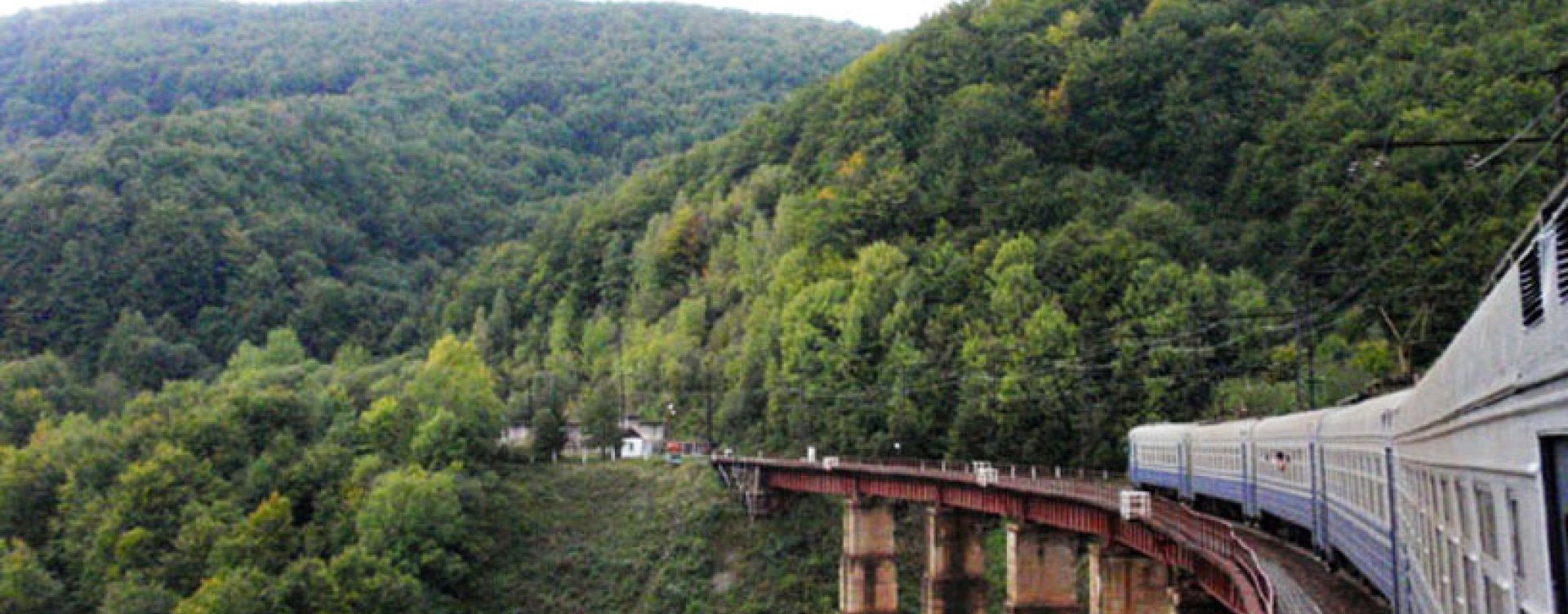 The narrow gauge railway in the Bieszczady mountains