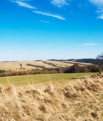 Połoninki Arłamowskie