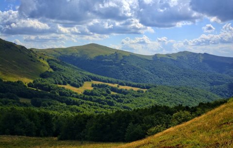 Rzuć wszystko i jedź w Bieszczady. Modny slogan czy sposób na życie?