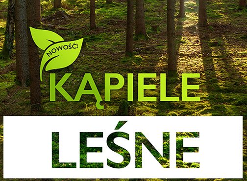 NOWOŚĆ! Kąpiele leśne