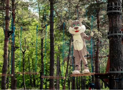 Park linowy w Karpackiej Puszczy – nowa atrakcja Podkarpacia