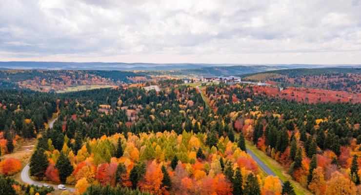 барви осені
